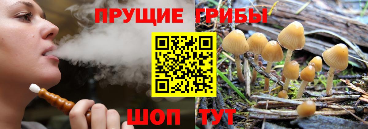 Красногорск  Галлюциногенные грибы Magic Shrooms  Вход с VPN 